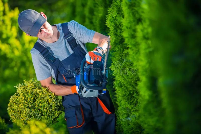 CPPRO ÉLAGAGE : Élagueur, jardinier paysagiste dans tout le 73 : étêtage, élagage, abattage des arbres, débroussaillage, travaux d’espaces verts, entretien de jardin : tonte de pelouse, tailles de haies, arbustes, nettoyage des extérieurs et pose de clôtures , installation de brise-vues … Intervention en Savoie dans tout le 73