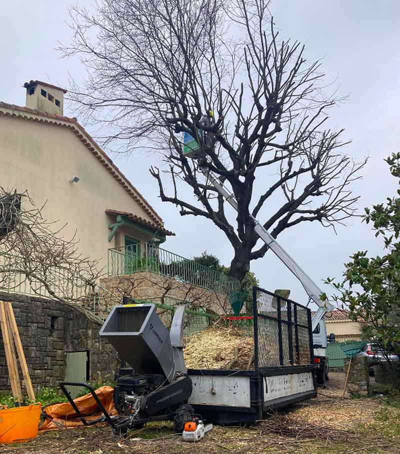 CPPRO ÉLAGAGE : Élagueur, jardinier paysagiste dans tout le 73 : étêtage, élagage, abattage des arbres, débroussaillage, travaux d’espaces verts, entretien de jardin : tonte de pelouse, tailles de haies, arbustes, nettoyage des extérieurs et pose de clôtures , installation de brise-vues … Intervention en Savoie dans tout le 73