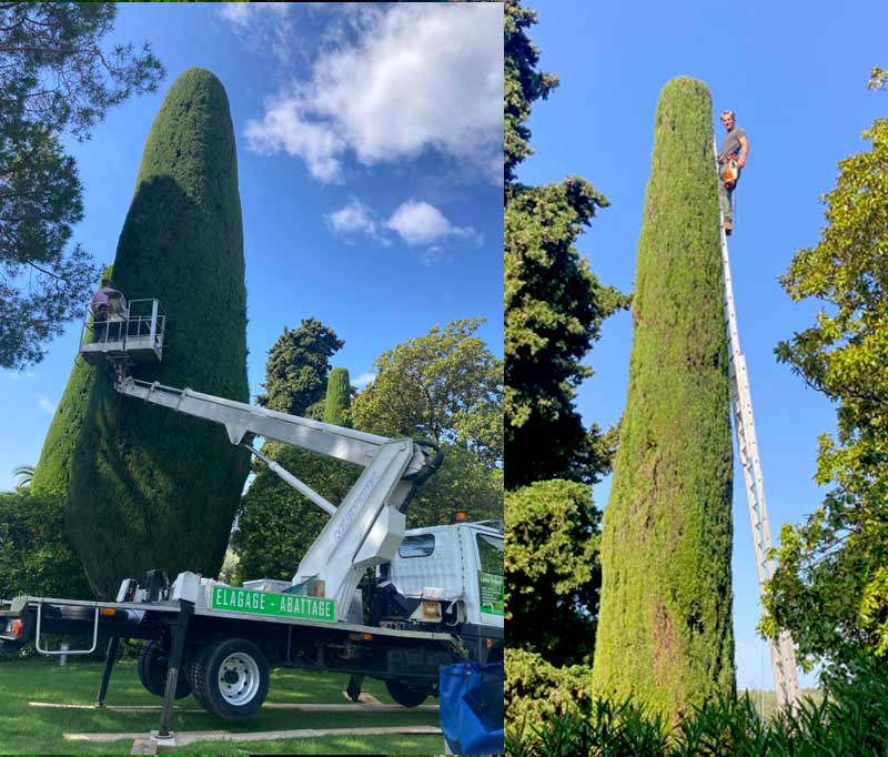 CPPRO ÉLAGAGE : Élagueur, jardinier paysagiste dans tout le 73 : étêtage, élagage, abattage des arbres, débroussaillage, travaux d’espaces verts, entretien de jardin : tonte de pelouse, tailles de haies, arbustes, nettoyage des extérieurs et pose de clôtures , installation de brise-vues … Intervention en Savoie dans tout le 73