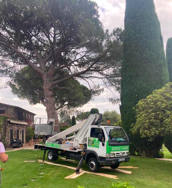 CPPRO ÉLAGAGE : Élagueur, jardinier paysagiste dans tout le 73 : étêtage, élagage, abattage des arbres, débroussaillage, travaux d’espaces verts, entretien de jardin : tonte de pelouse, tailles de haies, arbustes, nettoyage des extérieurs et pose de clôtures , installation de brise-vues … Intervention en Savoie dans tout le 73
